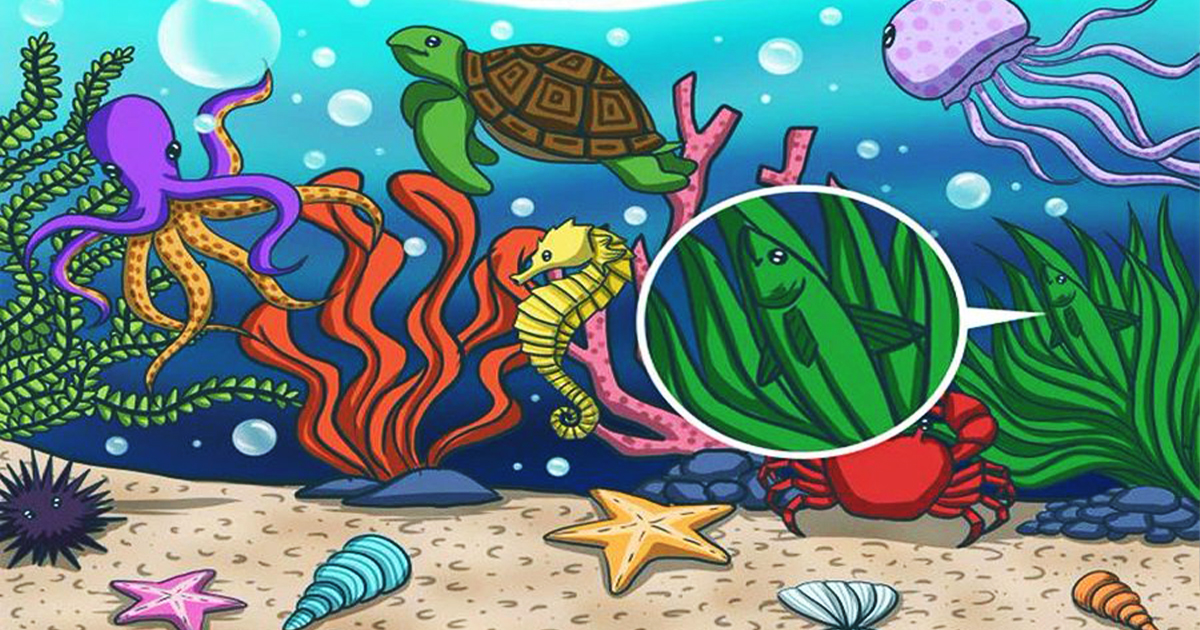 Image 287, Optical Illusions: এই সমুদ্রে লুকিয়ে রয়েছে একটি সাধারণ মাছ খুঁজে পেলে আপনি জিনিয়াস, Optical Illusions: এই সমুদ্রে লুকিয়ে রয়েছে একটি সাধারণ মাছ, খুঁজে পেলে আপনি জিনিয়াস
